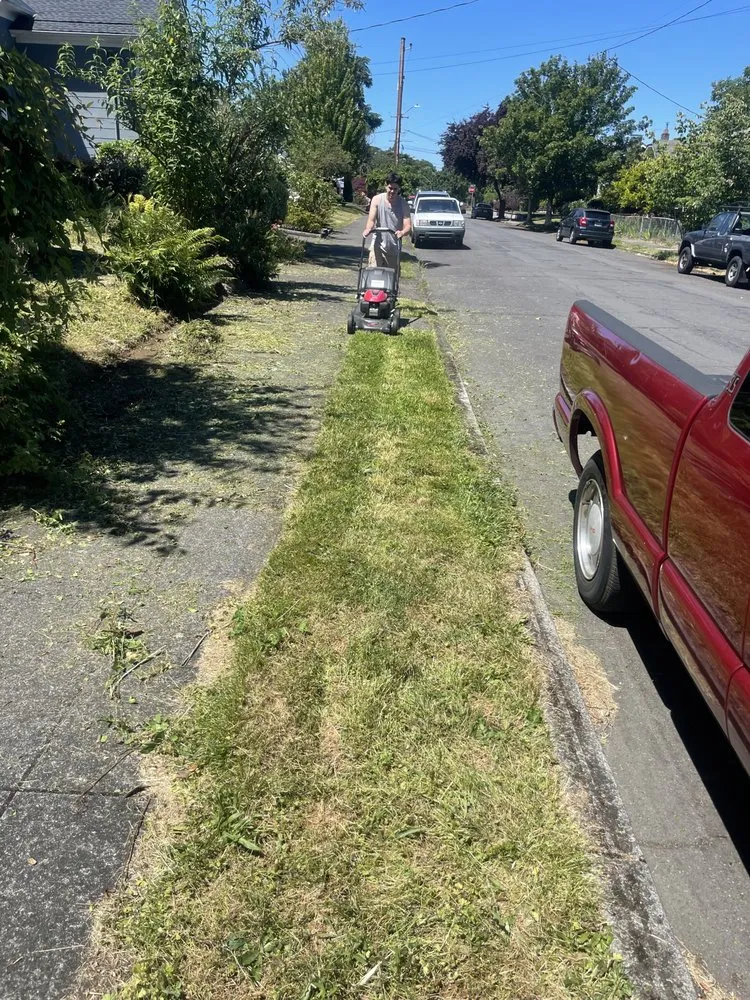 Expert landscape installation for year-round maintenance across Vancouver, WA - José lanscape