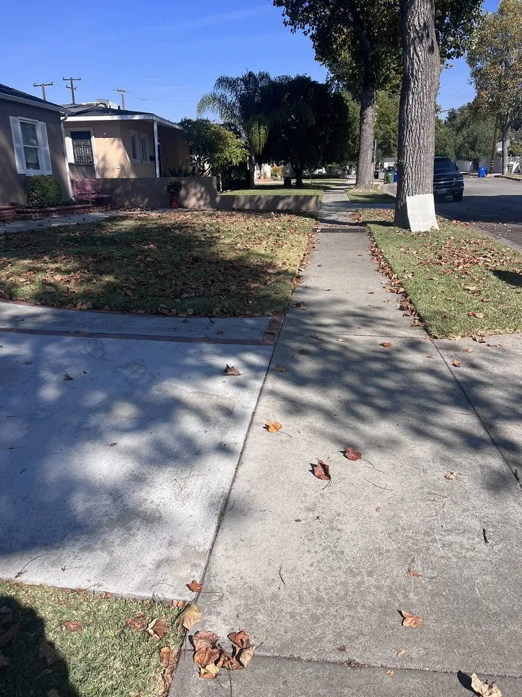 Trusted yard cleanup service for homes across Norwalk, CA - José Lawn & Maintenence