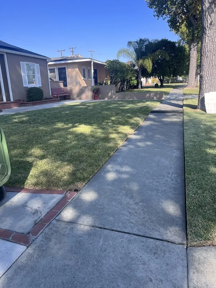 Local landscape design for outdoor upgrades across Norwalk, CA - José Lawn & Maintenence