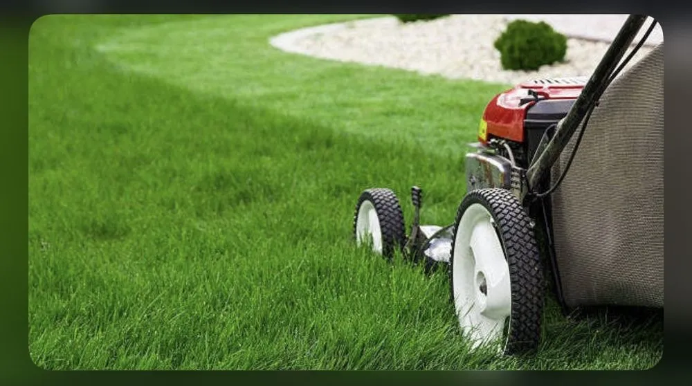 Affordable yard maintenance in Norwalk, CA by José Lawn & Maintenence