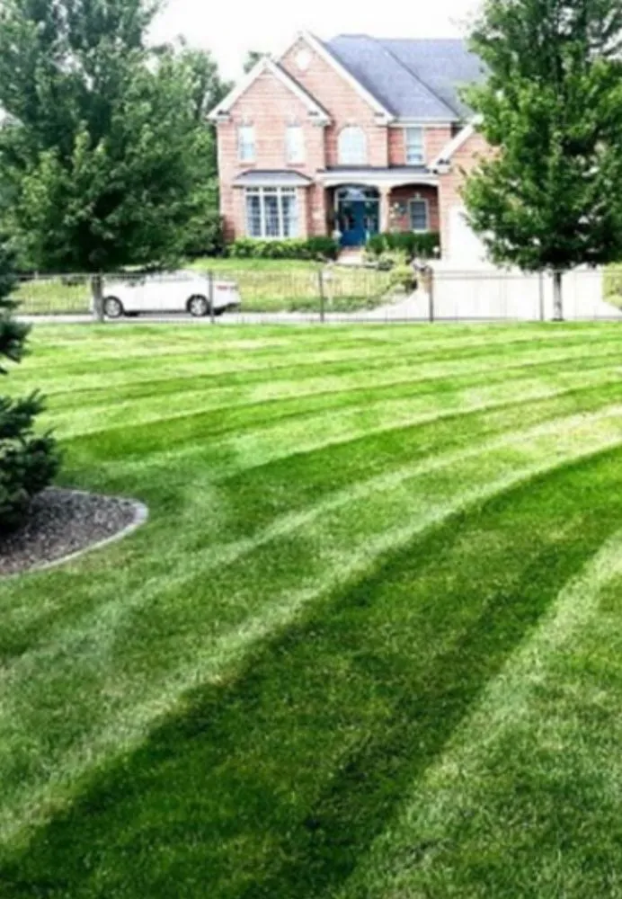 Affordable landscape design experts serving Springfield, IL - Jo’s Lawncare