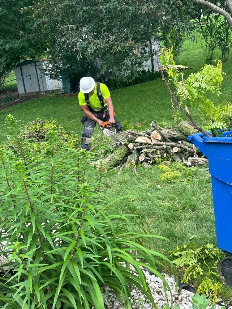 Top-rated yard maintenance in West Concord, MN - José López Lawn Care Services