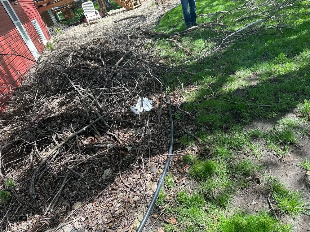 Custom yard cleanup service in West Concord, MN by José López Lawn Care Services