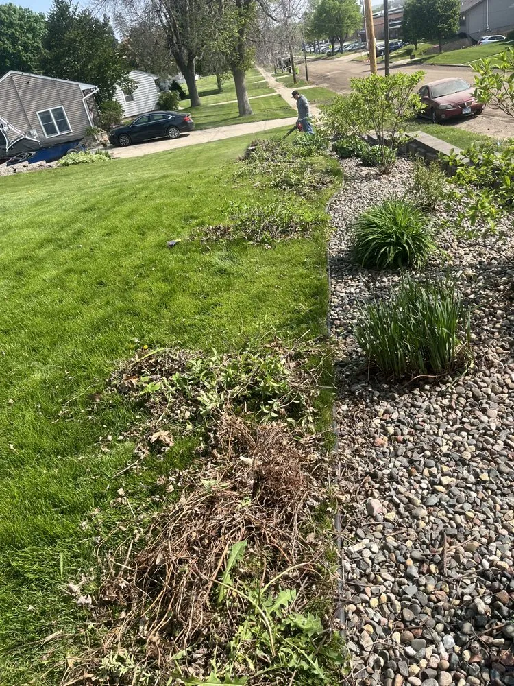 Affordable outdoor landscaping for outdoor upgrades in West Concord, MN by José López Lawn Care Services