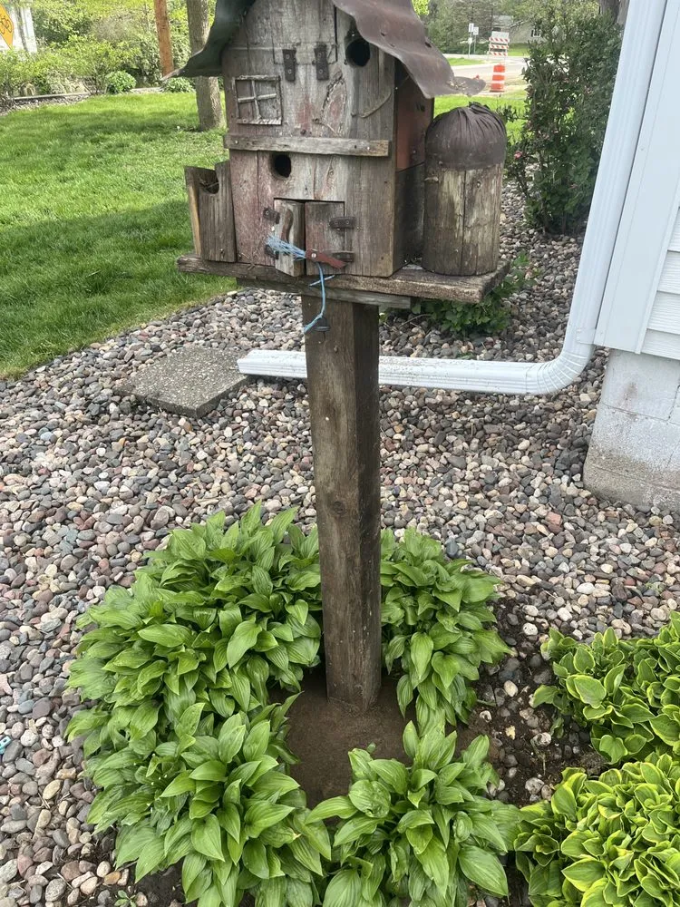 Custom lawn mowing service in West Concord, MN by José López Lawn Care Services