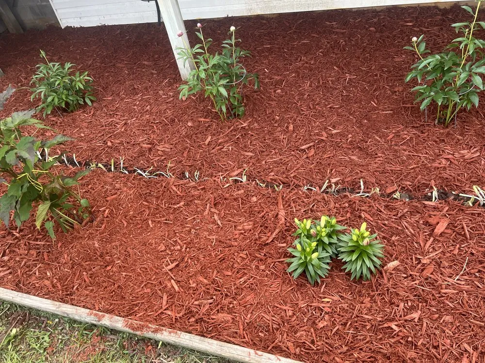 Trusted garden landscaping in West Concord, MN - José López Lawn Care Services