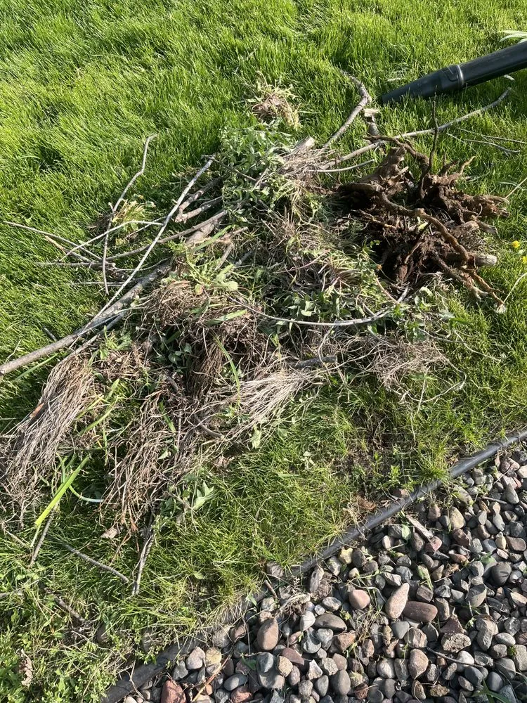Custom outdoor landscaping for beautiful yards in West Concord, MN by José López Lawn Care Services