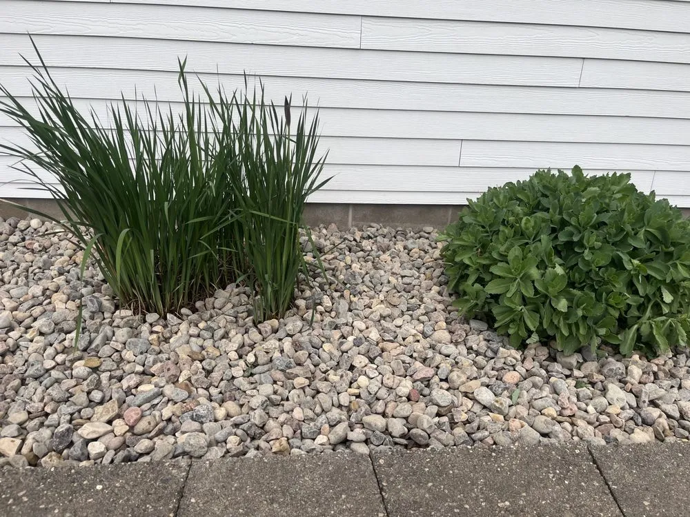 Top-rated landscape installation near you in West Concord, MN by José López Lawn Care Services