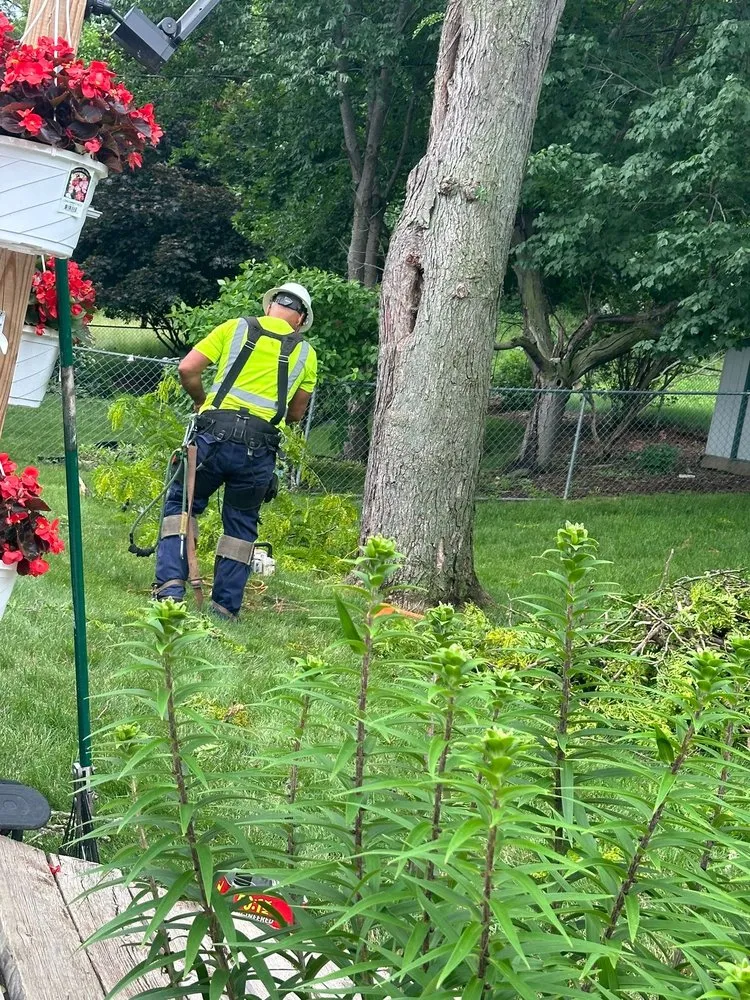 Top-rated lawn mowing service in West Concord, MN by José López Lawn Care Services