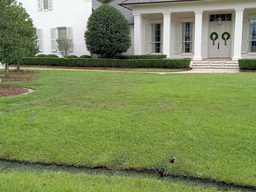 Expert landscaping services in Metairie, LA - José Luis