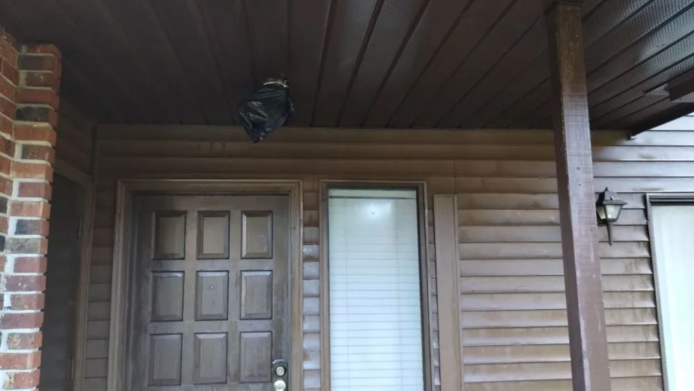 Custom yard cleanup service in Lakeland, FL by Jo's services