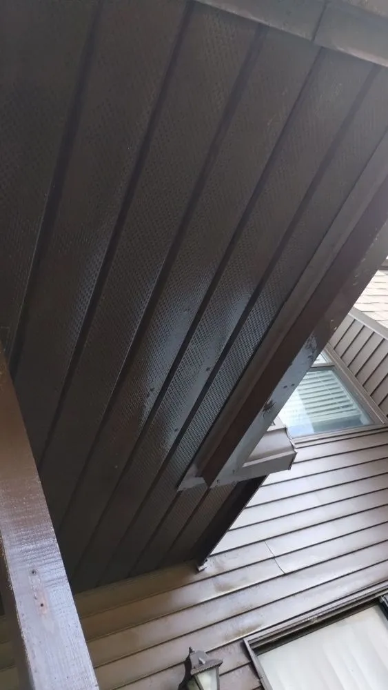 Local landscape installation for year-round maintenance in Lakeland, FL by Jo's services