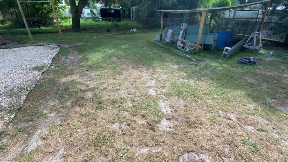 Affordable outdoor landscaping near you across Lakeland, FL - Jo's services