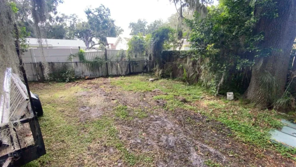 Affordable lawn care service in Lakeland, FL by Jo's services