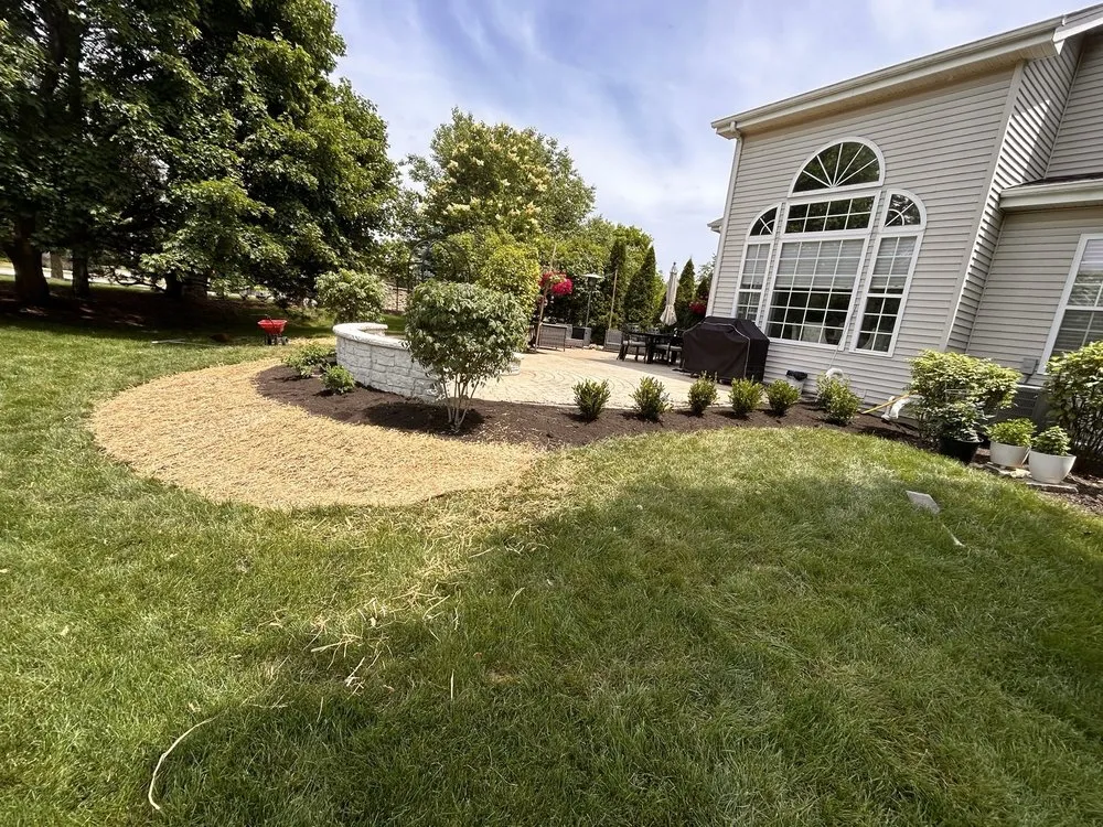 Trusted yard cleanup service in Aurora, IL - Jose & F Lanscaping