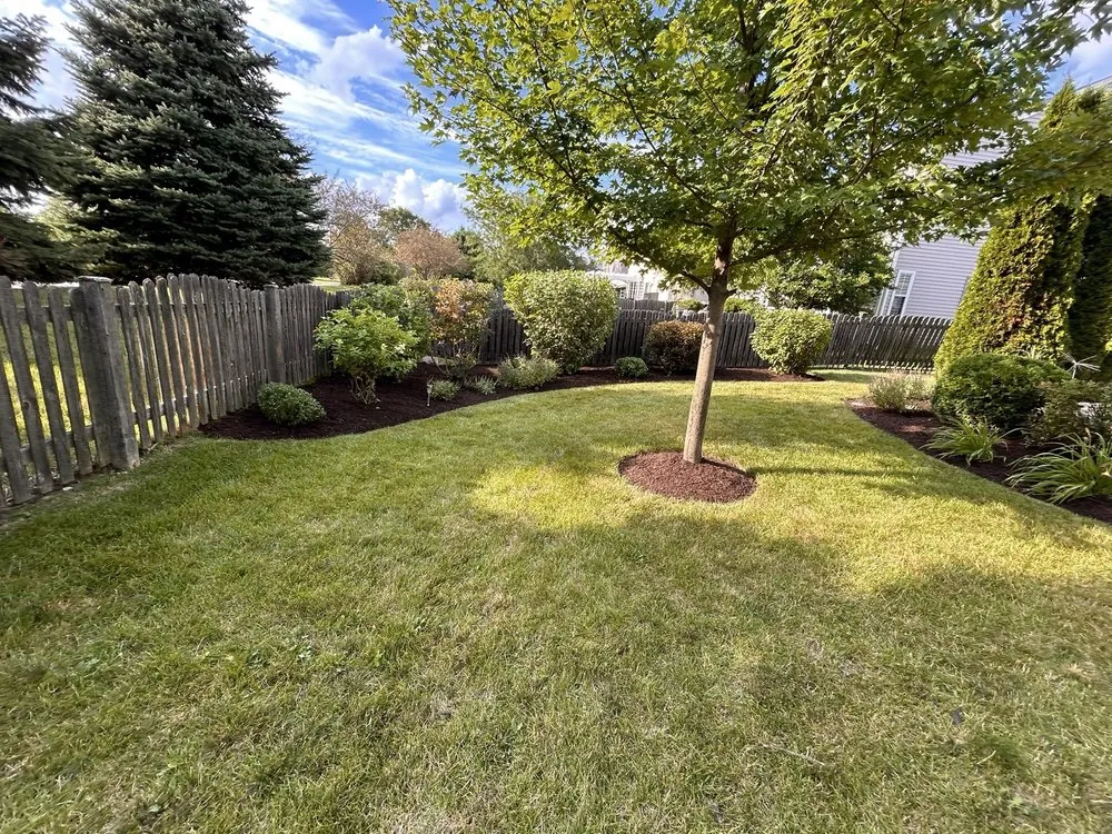 Custom lawn mowing service for residential properties across Aurora, IL - Jose & F Lanscaping