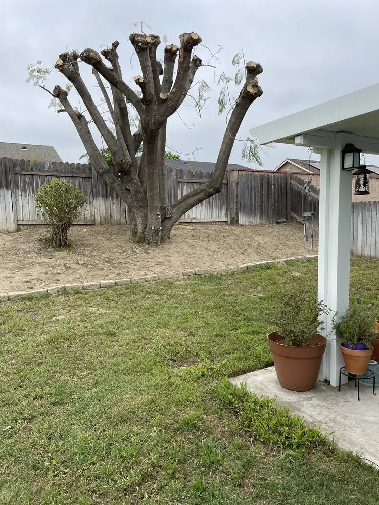 Trusted landscape installation experts serving Mira Loma, CA - Jose & Jesus Landscape Maintenance