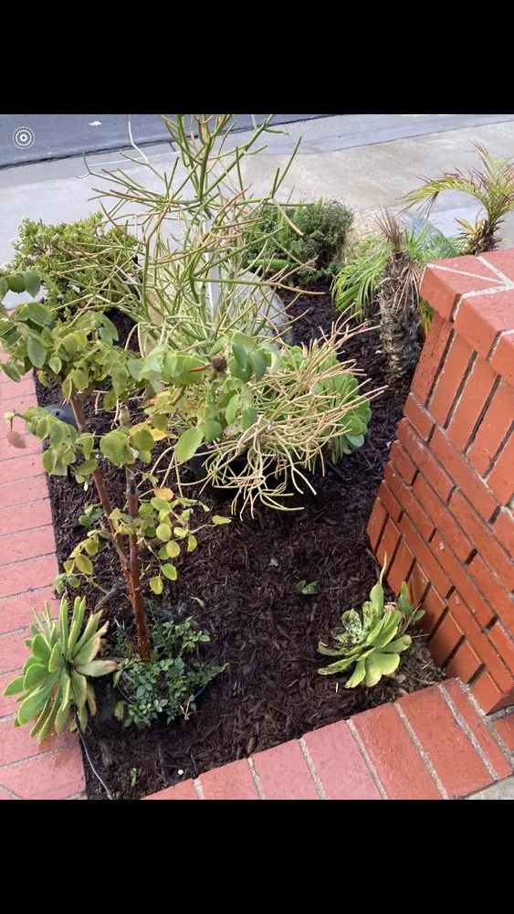 Top-rated garden landscaping in Mira Loma, CA by Jose & Jesus Landscape Maintenance