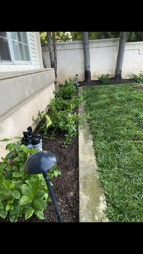 Top-rated landscaping services in Mira Loma, CA by Jose & Jesus Landscape Maintenance