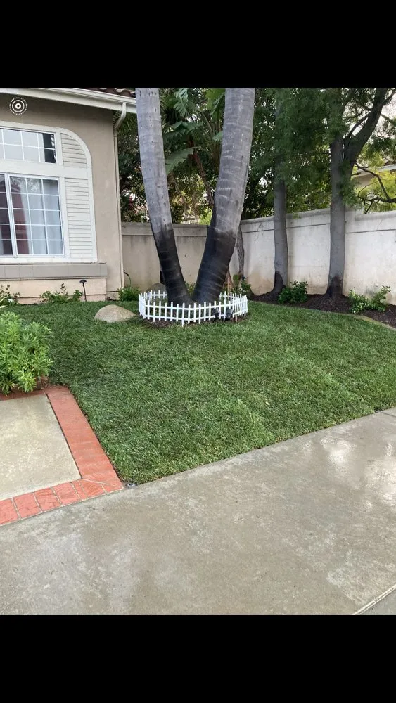 Local lawn care service with custom design across Mira Loma, CA - Jose & Jesus Landscape Maintenance