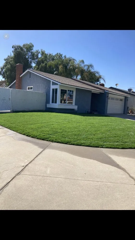 Professional yard maintenance in Mira Loma, CA - Jose & Jesus Landscape Maintenance