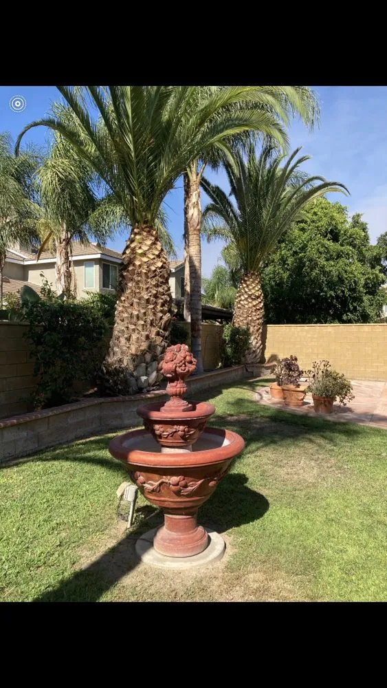 Custom yard cleanup service near you in Mira Loma, CA by Jose & Jesus Landscape Maintenance