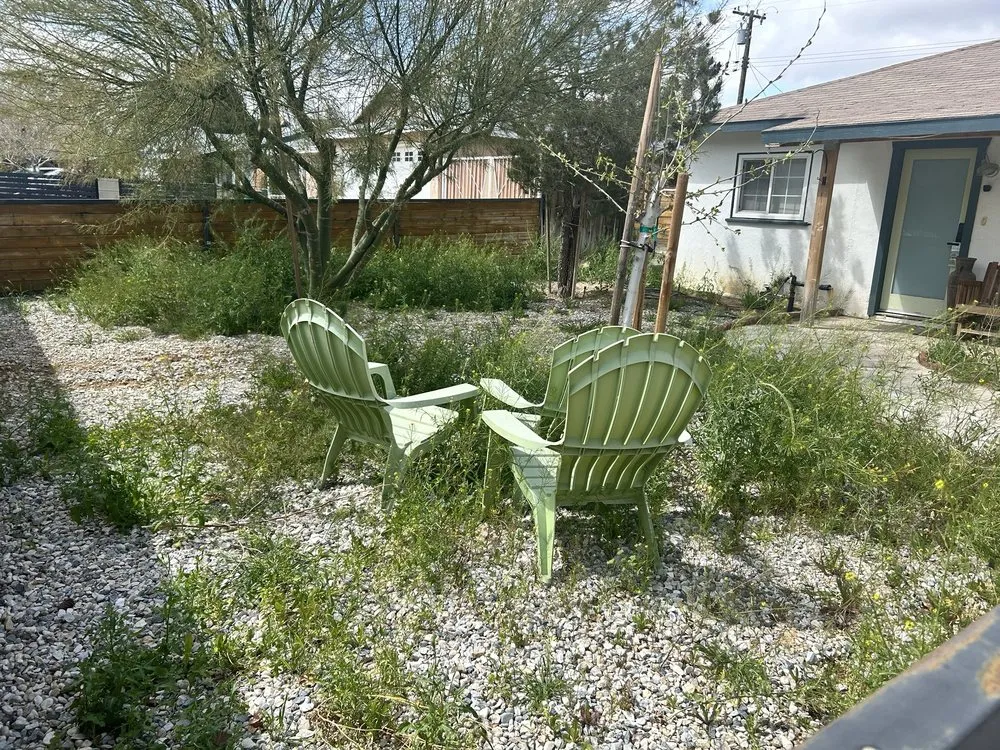 Local yard cleanup service in City of Industry, CA by Jose & Son Landscape Pros