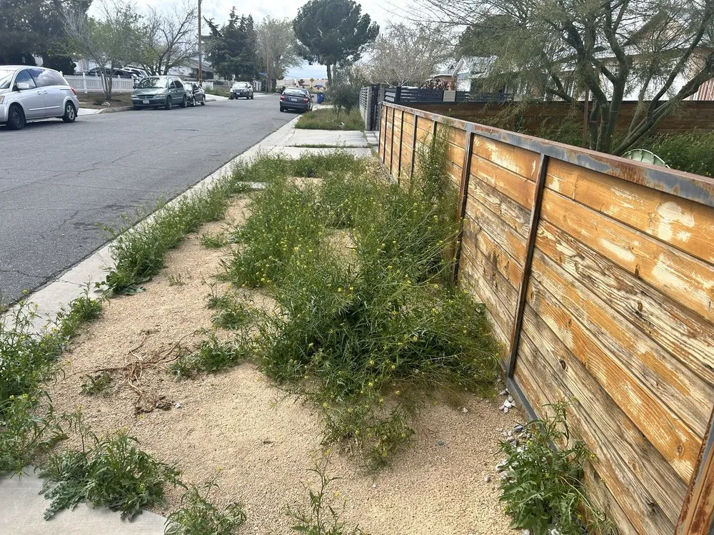 Top-rated garden landscaping in City of Industry, CA - Jose & Son Landscape Pros