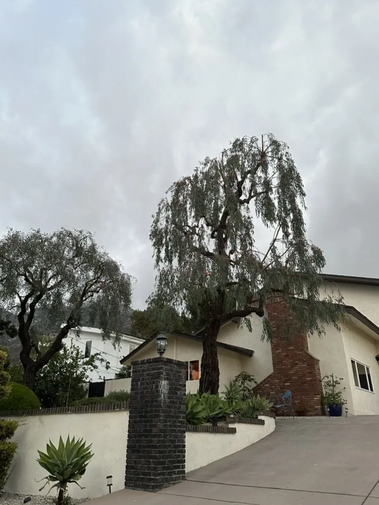 Local outdoor landscaping with custom design in City of Industry, CA by Jose & Son Landscape Pros