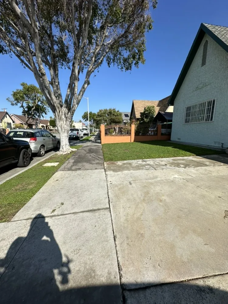 Trusted landscaping services experts serving City of Industry, CA - Jose & Son Landscape Pros