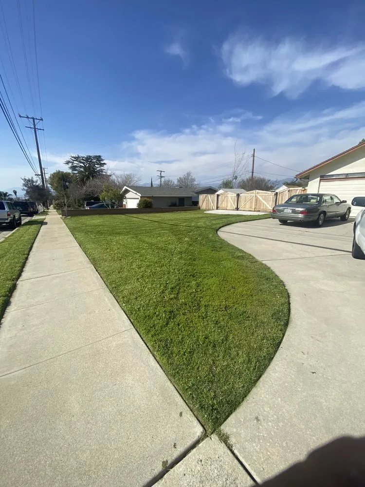 Expert lawn care service for residential properties across City of Industry, CA - Jose & Son Landscape Pros