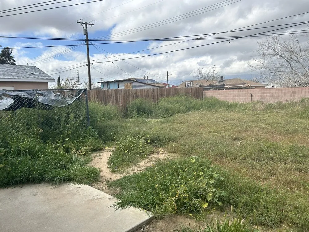 Trusted yard cleanup service in City of Industry, CA - Jose & Son Landscape Pros