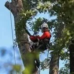 Expert landscape installation for residential properties in Spruce Pine, NC by Jose & Son Landscaping and Construction