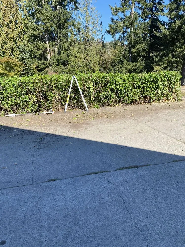 Expert residential landscaping in Kelso, WA - Jose & Sons Landscaping