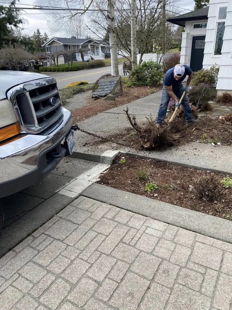 Custom lawn mowing service experts serving Kelso, WA - Jose & Sons Landscaping