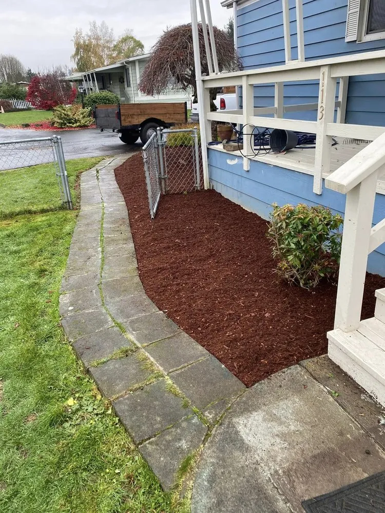 Custom yard cleanup service in Kelso, WA - Jose & Sons Landscaping