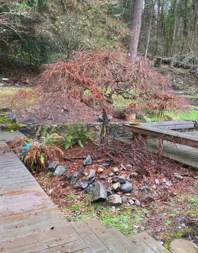 Professional lawn care service experts serving Kelso, WA - Jose & Sons Landscaping