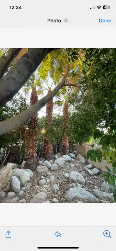 Trusted landscape design near you in Cathedral City, CA by Jose Acosta Landscaping & Junk Removing