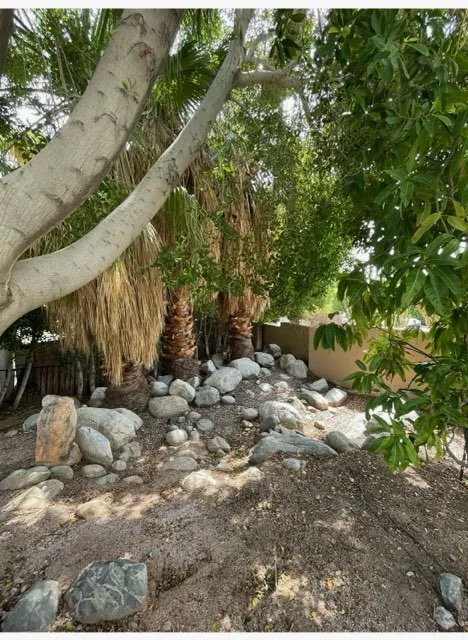 Local landscaping services experts serving Cathedral City, CA - Jose Acosta Landscaping & Junk Removing