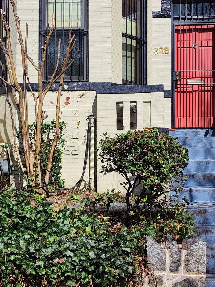 Custom garden landscaping in Fort Washington, MD - Jose Adonay Alvarenga