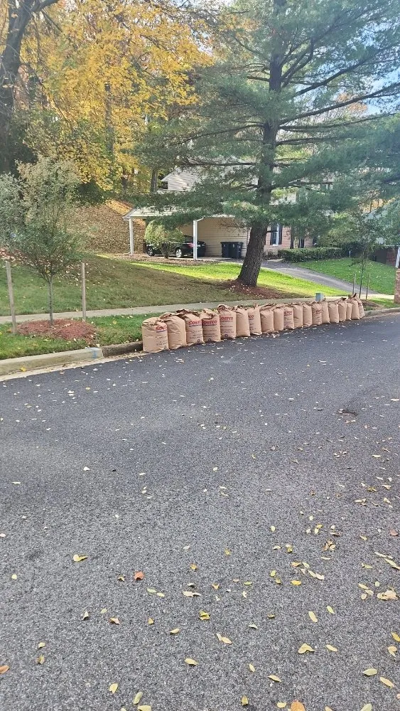 Expert garden landscaping experts serving Fort Washington, MD - Jose Adonay Alvarenga