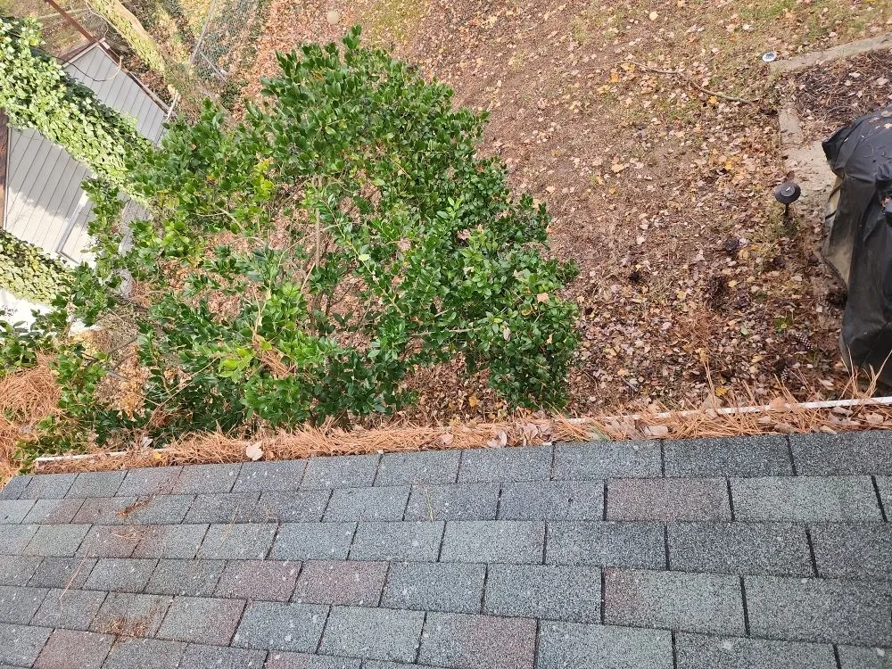 Reliable lawn care service for residential properties in Fort Washington, MD by Jose Adonay Alvarenga