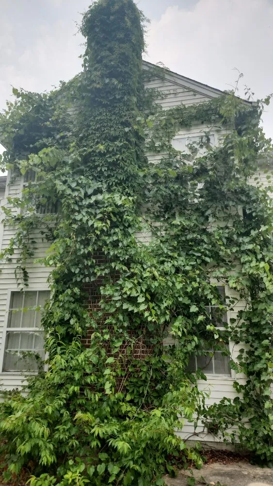 Expert outdoor landscaping in Fort Washington, MD by Jose Adonay Alvarenga