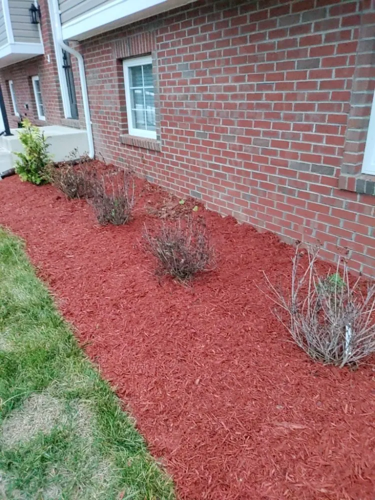Local lawn care service with custom design across Fort Washington, MD - Jose Adonay Alvarenga