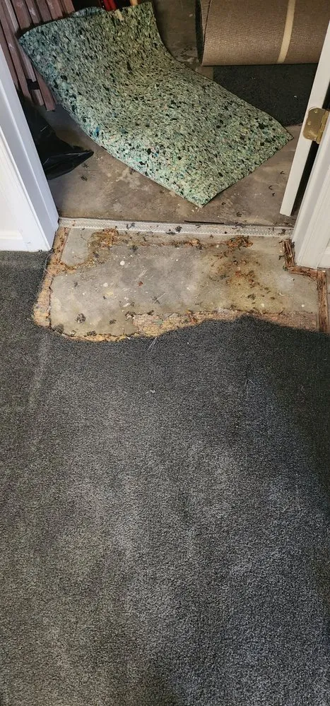 Trusted yard cleanup service experts serving Fort Washington, MD - Jose Adonay Alvarenga