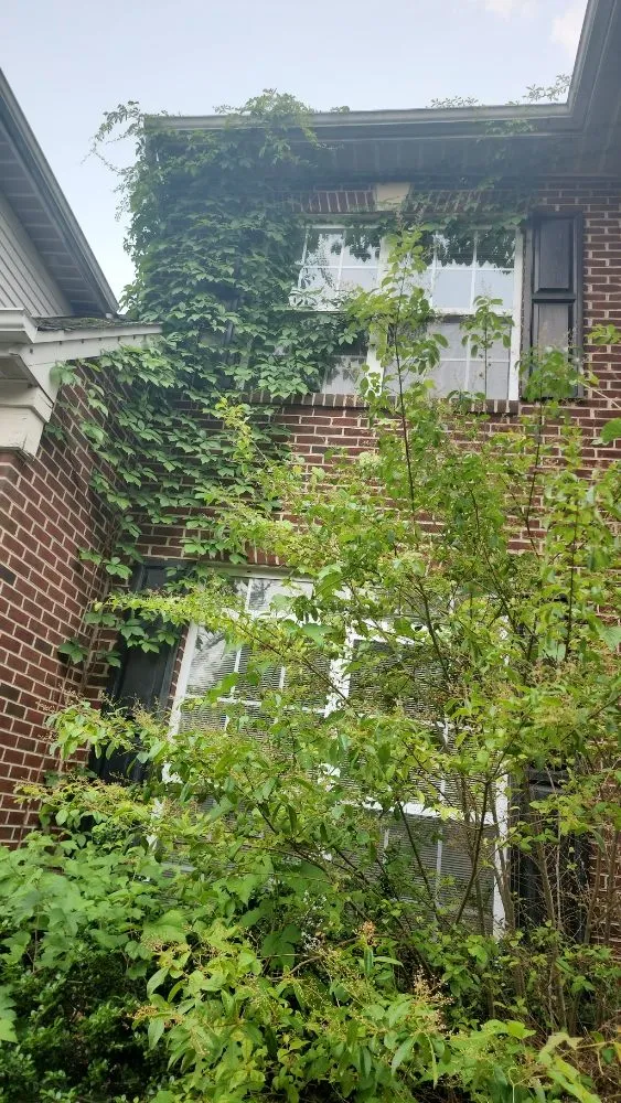 Custom lawn mowing service in Fort Washington, MD by Jose Adonay Alvarenga