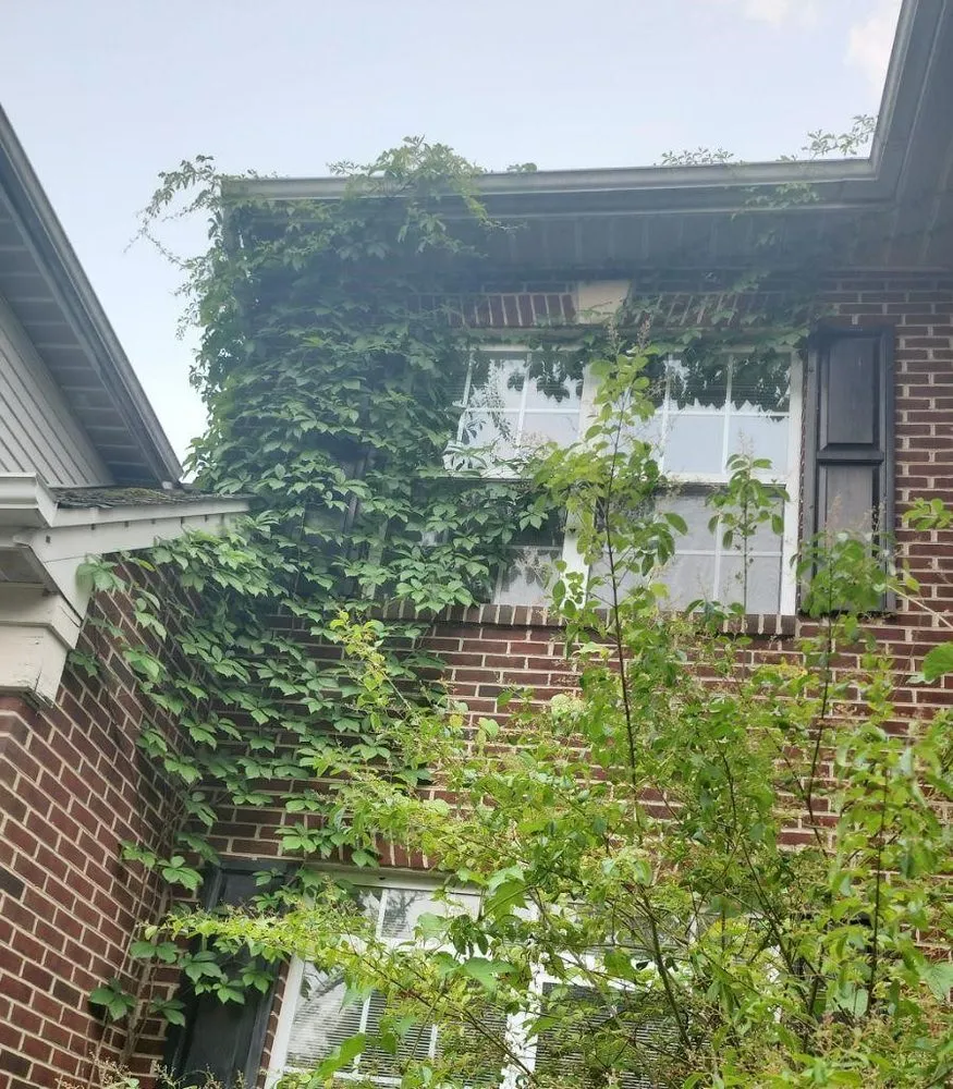 Affordable landscape design experts serving Fort Washington, MD - Jose Adonay Alvarenga