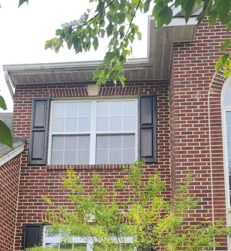 Trusted lawn mowing service for year-round maintenance in Fort Washington, MD by Jose Adonay Alvarenga