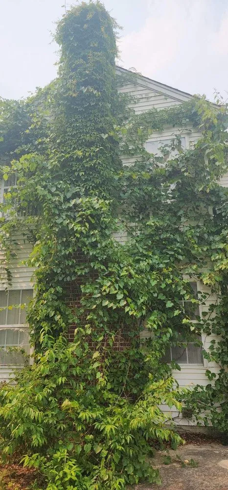 Affordable yard maintenance in Fort Washington, MD - Jose Adonay Alvarenga