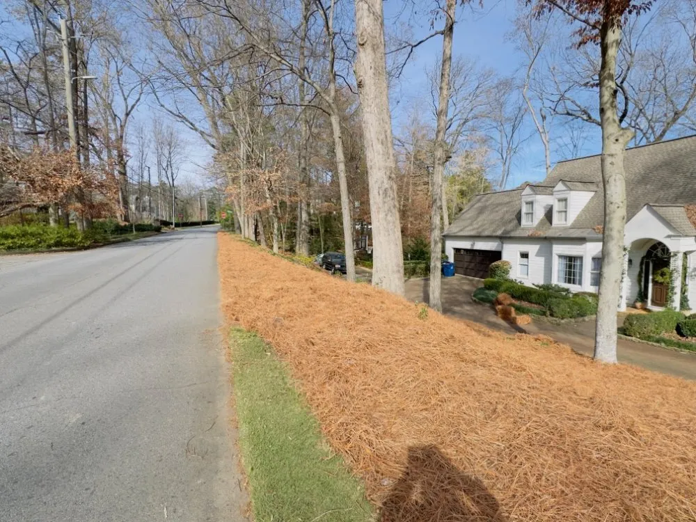 Custom yard cleanup service for homes in lilburn, GA by Jose Aguilar Lawn Service